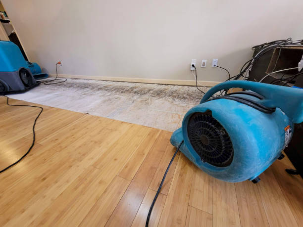 Professional Water Damage Repair technician working in Lexington, VA